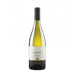 FIEGL MALVASIA COLLIO cl75