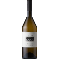 Vino Sauvignon Colle Duga